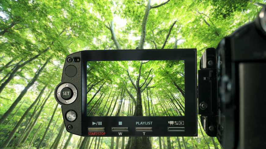 How are cinema, television and streaming making the green transition? And what role does legislation play in this process in Europe?