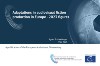 Adaptations in audiovisual fiction production in Europe - 2023 figures
