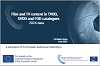 Film and TV content in TVOD, SVOD and FOD catalogues - 2024 data